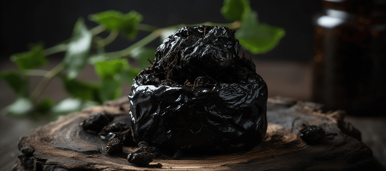 Embrace the Power of Shilajit for a Healthier You!
