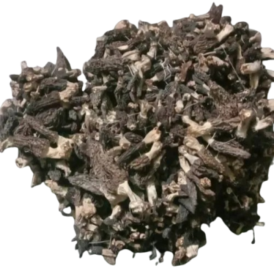 Black Jammu and Kashmir Moral Mushroom Guchhi
